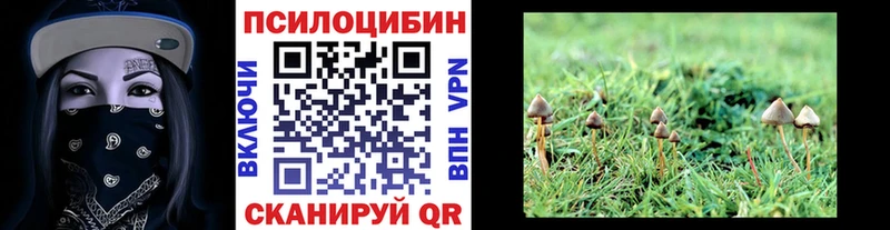 Псилоцибиновые грибы мухоморы  Новоржев 